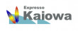 Bus Company Expresso Kaiowa